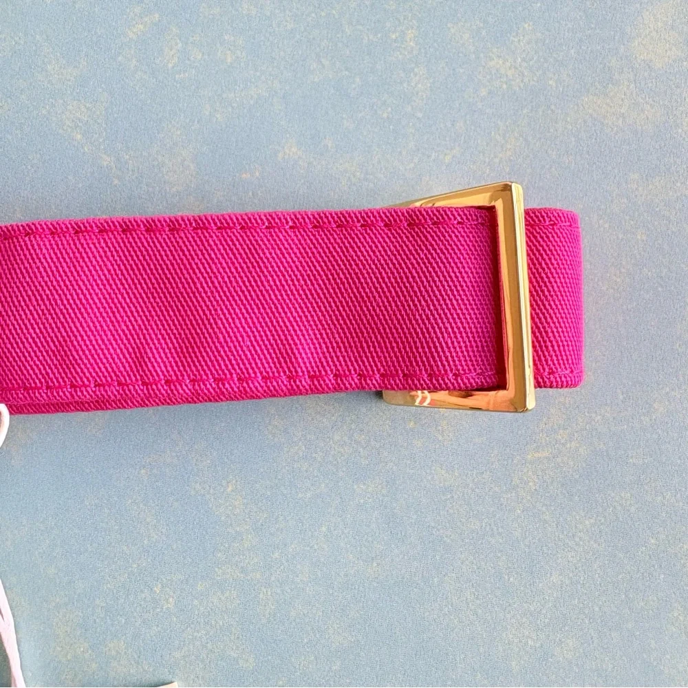 NEW The Foggy Dog Hot Pink Dog Collar Large Gold Hardware Spring Pet Gift NWT - Picture 6 of 12